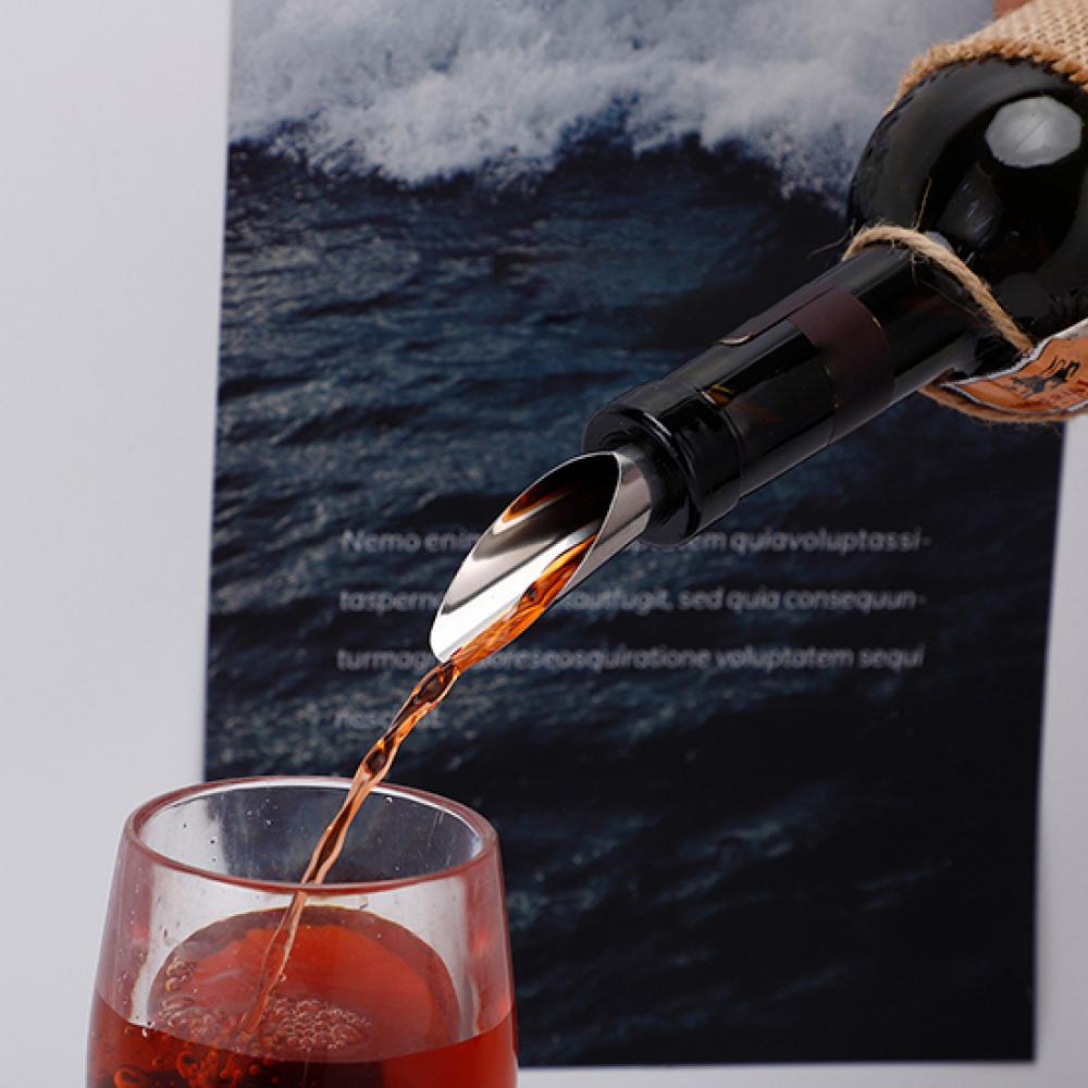 Stainless Steel Classic Bottle - Wine Aerator Pour review and price